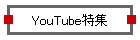 YouTubeW